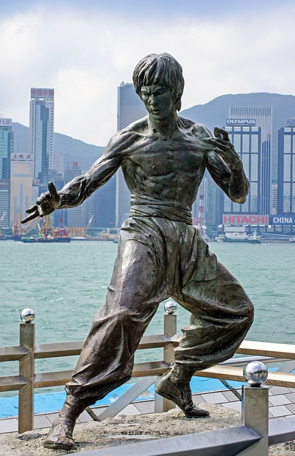 Jeet Kune Do – die Kampfkunst Bruce Lees