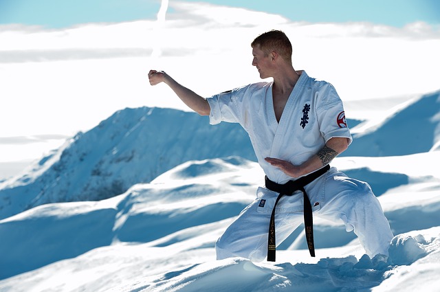 Karate der Weg der leeren Hand