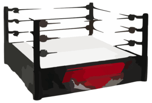 Boxring