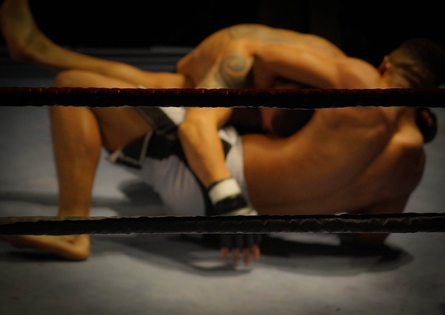 Boxen oder MMA: Welche Kampfsportart ist gefährlicher?